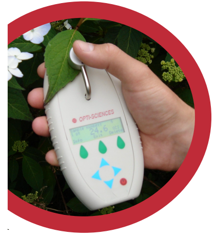 ACM200 plus便携式花青素仪 